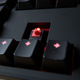 Image for article titled Fnatic Gear Rush Silent Review: The Softer Side Of Pro Gaming Keyboards